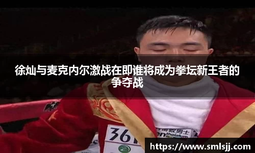 徐灿与麦克内尔激战在即谁将成为拳坛新王者的争夺战